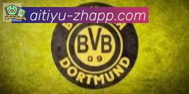 爱体育合作伙伴