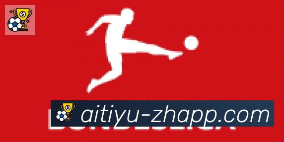 爱体育合作伙伴