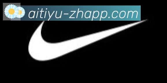 爱体育合作伙伴