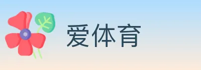 爱体育 logo